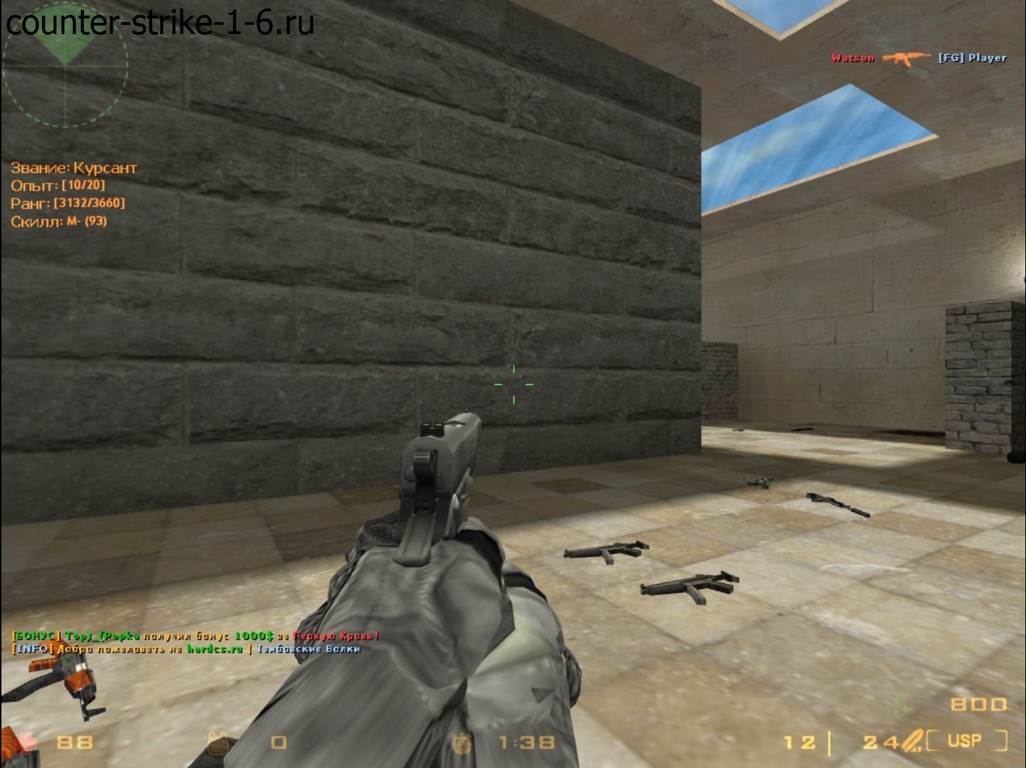 USP в сборке кс 1.6 Insane